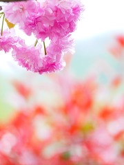 CC1A6634-089B-41F6-80E1-A21205FB1802/L0/001