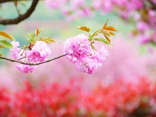 984A354F-C1CE-4AEB-9FED-64726D82CFDC/L0/001