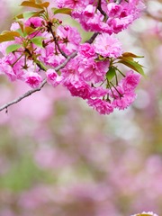 5608A7AA-35DD-486A-8484-FE4AC35F6199/L0/001