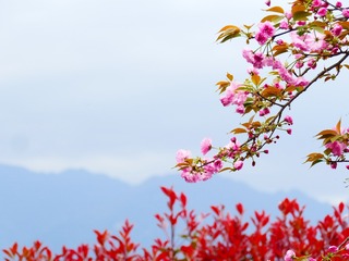 19C16900-19D6-4D09-B9C8-63FCE09EF2C6/L0/001