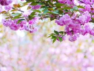 38272E3C-7CCB-4F25-9D83-123EE91C6068/L0/001