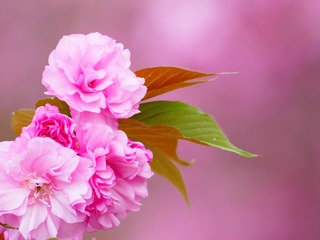 9BB2C8EB-A31B-4C40-9731-1184BB3907D4/L0/001
