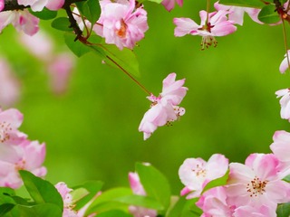 6127F3C8-B501-40A8-8CDB-E24CC4C7E7F1/L0/001