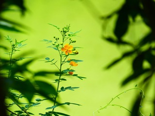 B52AB4E6-F669-49E2-8704-285E51083FC8/L0/001