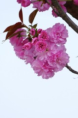 724DB28C-2B11-43EC-8AE2-ABAE27A40321/L0/001