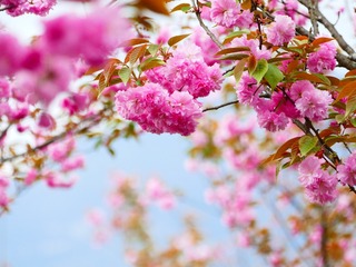 B7359324-B4C4-45B6-B529-F235F9A80CAF/L0/001