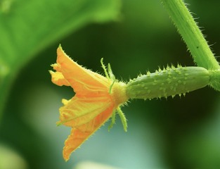 B003F1AC-A756-41B1-BBD3-1C30DCF57A44/L0/001