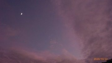 820698B4-0C1D-4857-B085-8E7DAA4E6CCE/L0/001