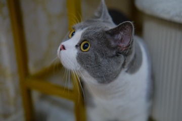 9C18508D-D76F-4713-BE14-C0328FB3B21D/L0/001