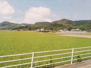 357406