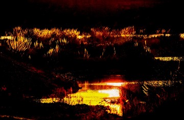 夕照苍溪回水湿地-王舒-13881250660-摄于苍溪回水乡