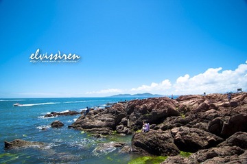 青岛的海
