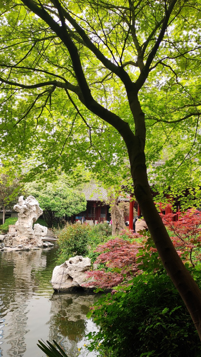 春意盎然郑州紫荆山公园