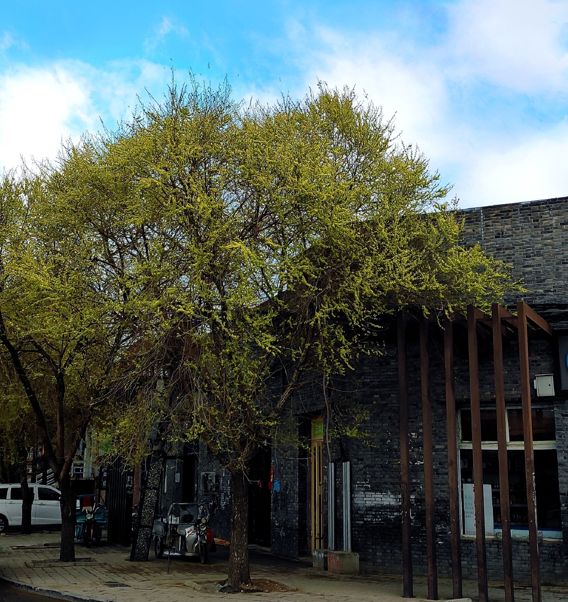 一角摄于北京通州宋庄艺术基地