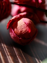 9252A3FD-F8CC-443B-98F8-29CBC99475D9/L0/001