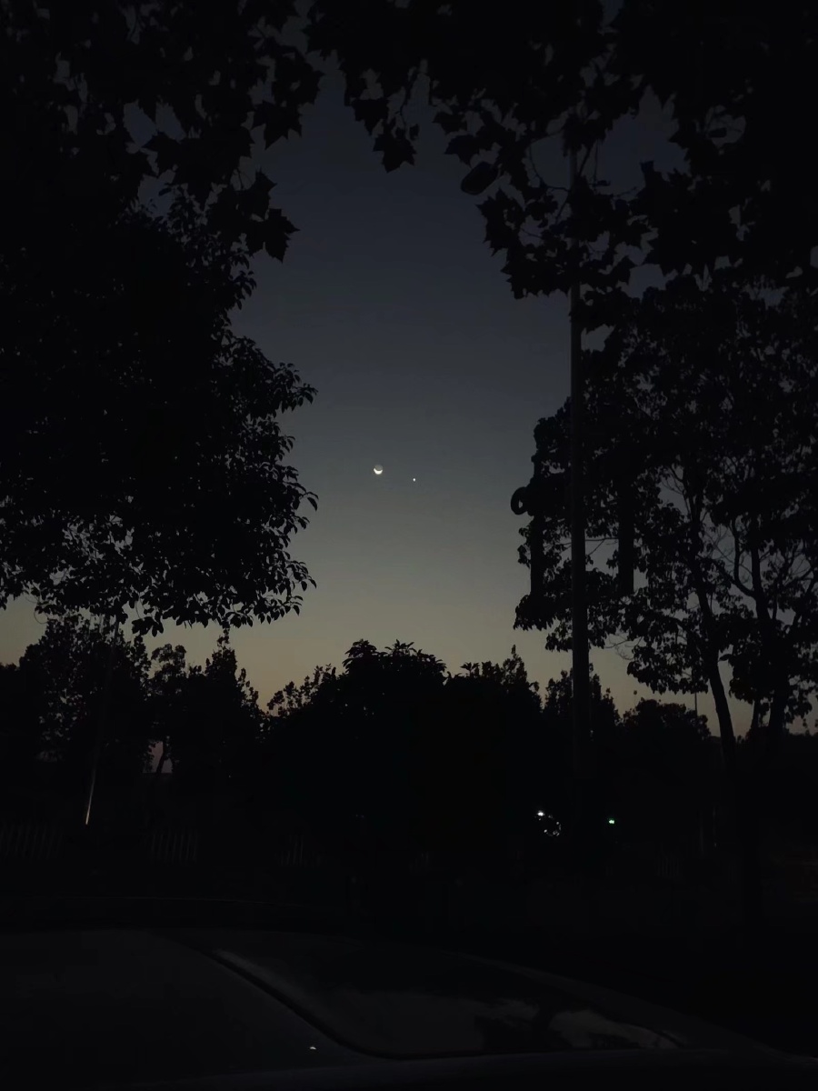 在冗长的黑夜里你是我唯一的光