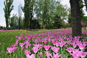 6F81231D-2BDC-48D6-9B19-3A87CF70AC49/L0/001