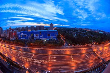 IMG_7543.jpg