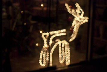 bokeh