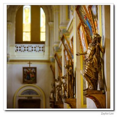nEO_IMG_DSC_8202.jpg