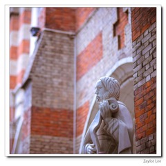 nEO_IMG_DSC_8208.jpg