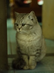 49127