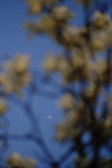 017D1BE7-509A-4143-A240-1D65E575D231/L0/001