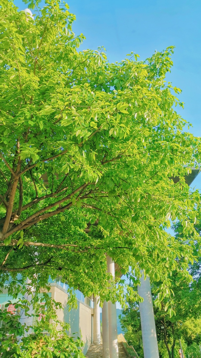 提前感受夏天的气息