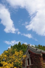 天空