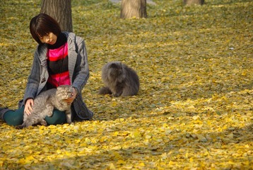 女孩和猫
