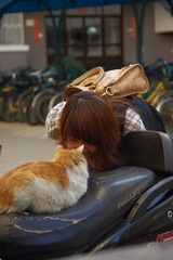 41楼Z和猫