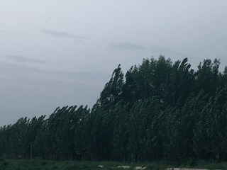 1000014702