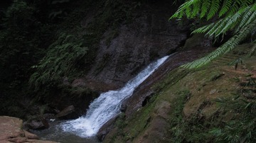 1626418