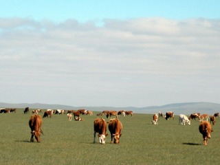 P8240242