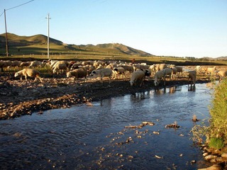 P8250301