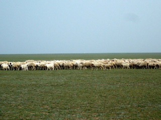 P8230221