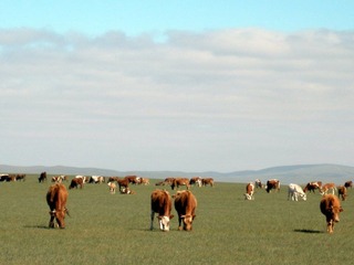 P8240242