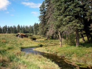 P8240244