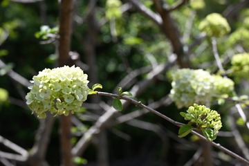 A138C978-6A5D-4EA0-83D9-DBFEEA4C94CA/L0/001