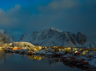 685