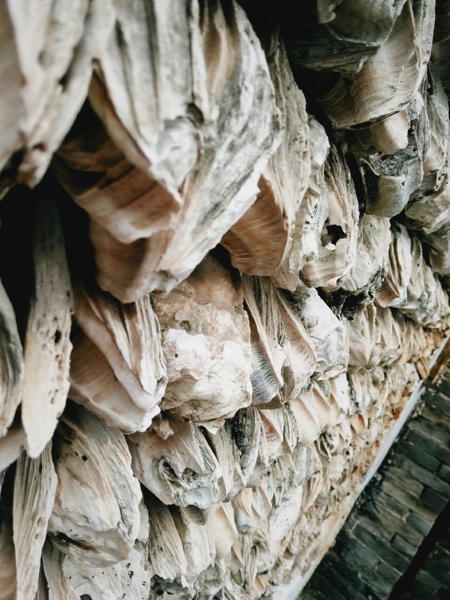 广州沙湾古镇蚝壳墙满满一墙的生蚝壳