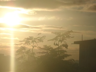 C540BFCC-57E5-4617-AD3D-38CBC9C4D752/L0/001
