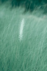 1192025