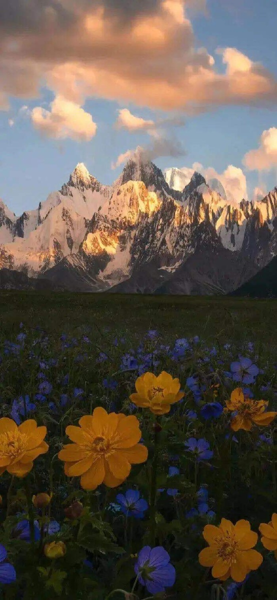 风景照愿你一生清澈明朗善良纯真做你愿意做的事爱你愿意爱的人09