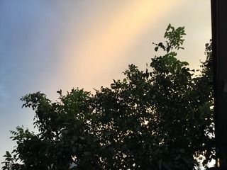 5D81B70D-C0C7-4356-9330-690D5C0BDAE0/L0/001