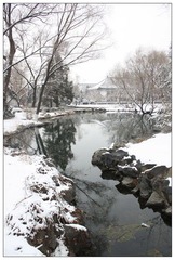 雪