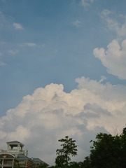 C4473B66-CB91-4245-B5D6-81AAF4CD76A5/L0/001