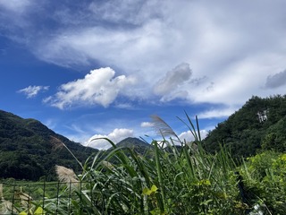 37B737C6-C212-42A6-9C45-3988683E5B55/L0/001