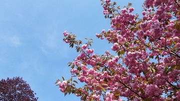 F734D80C-5BB1-413C-A5DF-BC980AD38DA5/L0/001