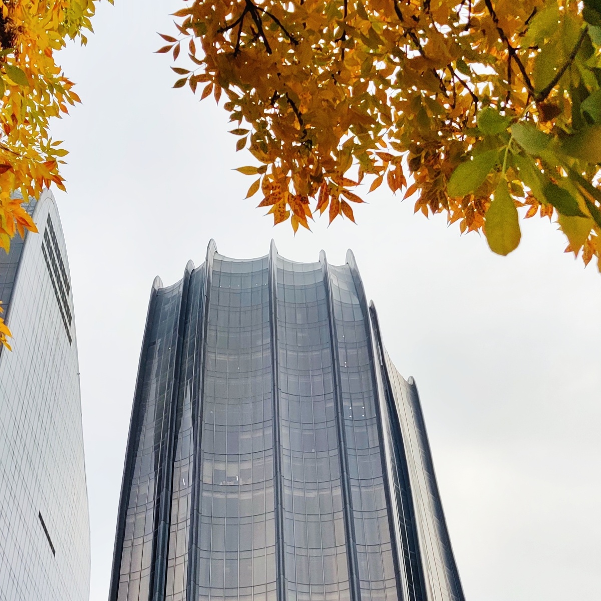 马工的"墨色山水"虽然总被叫大黑楼,但是设计真的不简单.